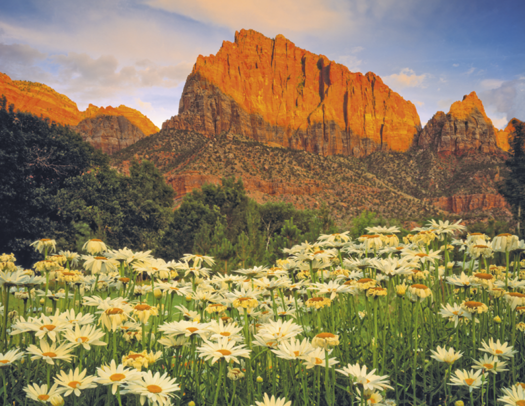 Good Value™ Landscapes of America - Spiral Calendar 94